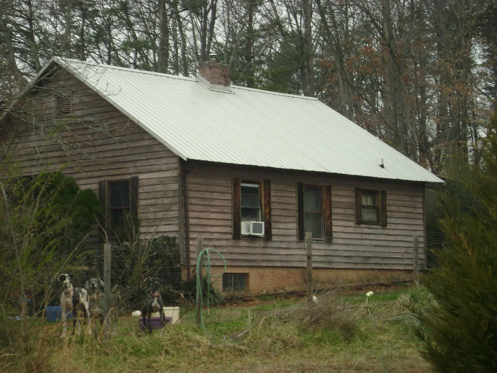 White metal roof on an old wood sided farmhouse, from a Asphalt Shingle Roof Repair job in Ward